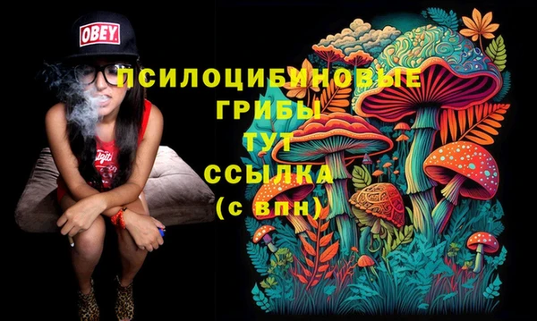 прущие грибы Волосово