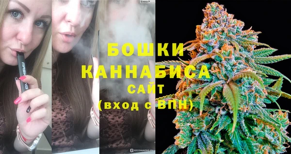 прущие грибы Волосово