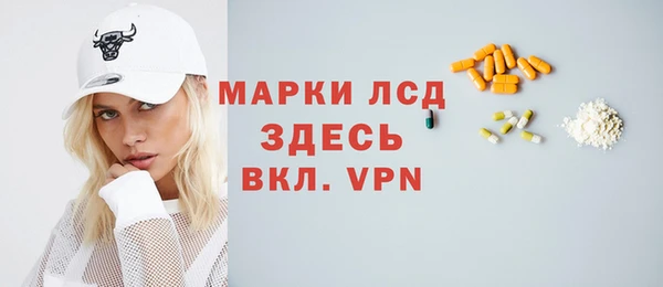 прущие грибы Волосово