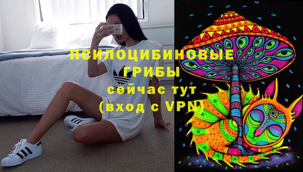 прущие грибы Волосово